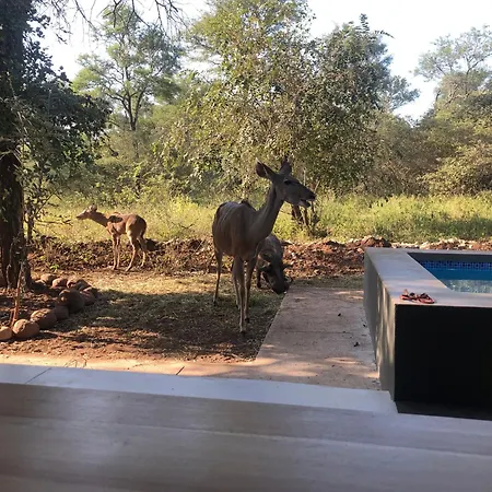 Modern Bush Living Villa Marloth Park Exterior photo
