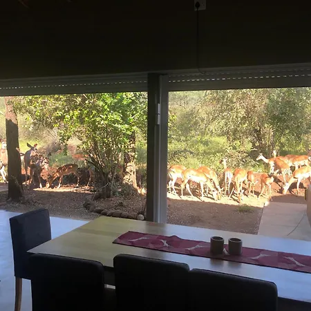 Modern Bush Living Villa Marloth Park Exterior photo