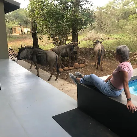Modern Bush Living Villa Marloth Park Exterior photo
