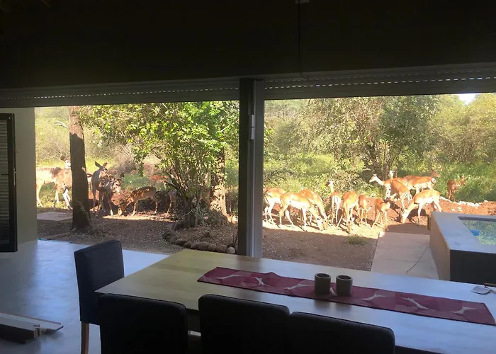 Modern Bush Living
