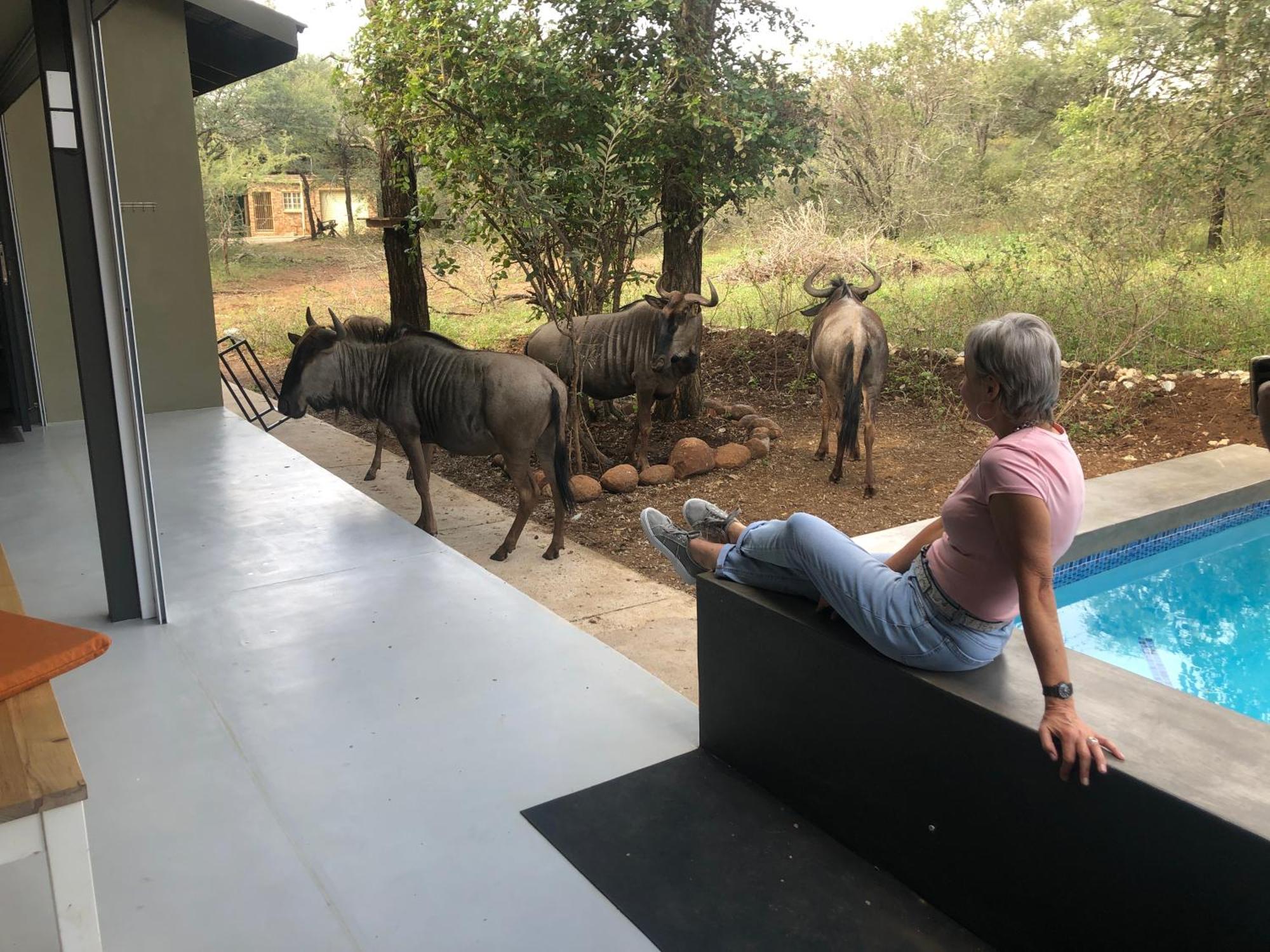 Modern Bush Living * Marloth Park